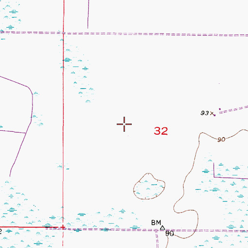 Topographic Map of Negrotown Marsh, FL