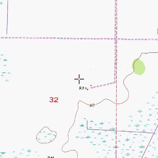 Topographic Map of Negrotown Knoll, FL