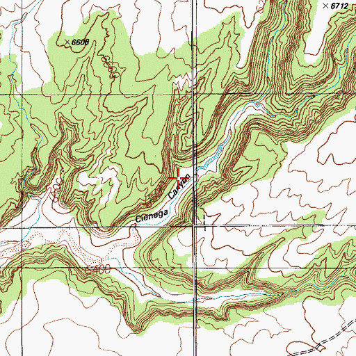 Topographic Map of Cienega Canyon, AZ