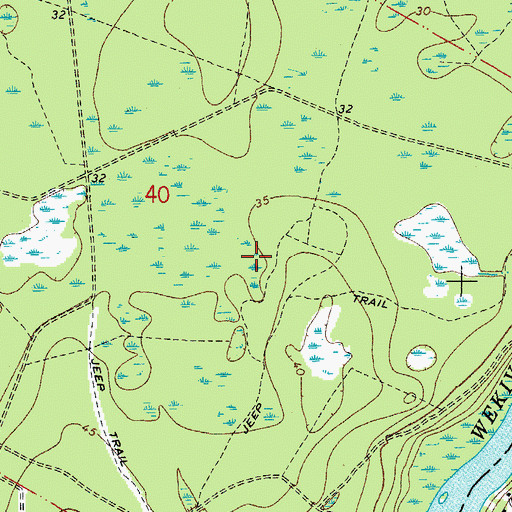 Topographic Map of Peter Miranda Grant, FL