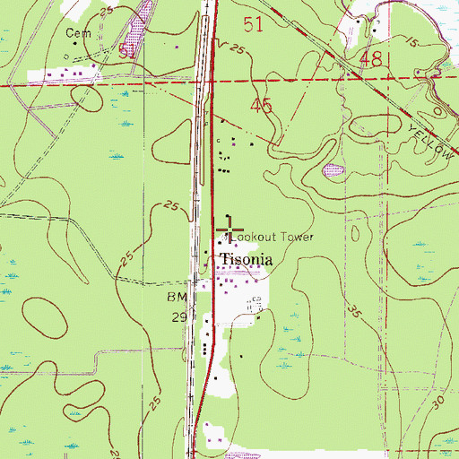 Topographic Map of Tisonia Lookout Tower, FL