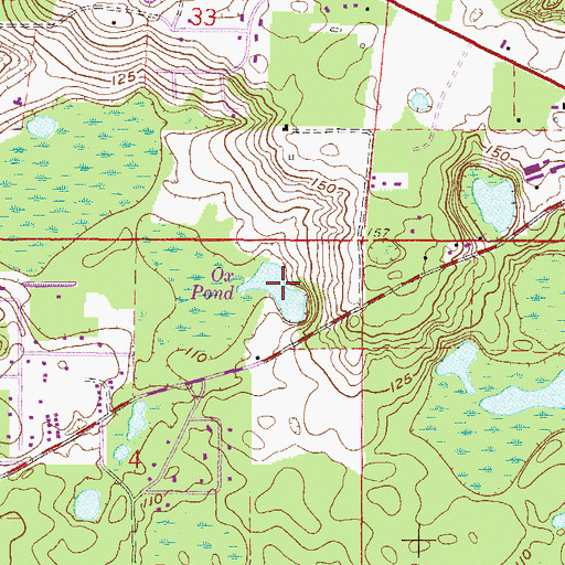 Topographic Map of Ox Pond, FL