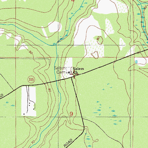 Topographic Map of Salem Church, FL