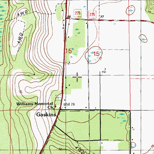 Topographic Map of Gaskins, FL