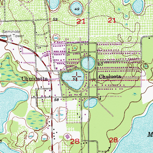 Topographic Map of Lake Catherine, FL