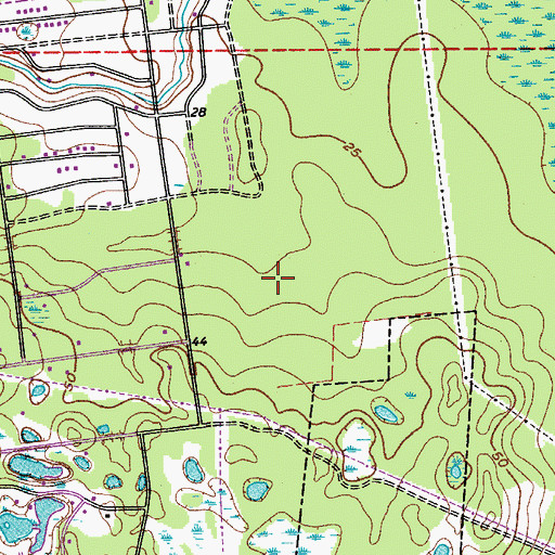 Topographic Map of Gee Hammock, FL