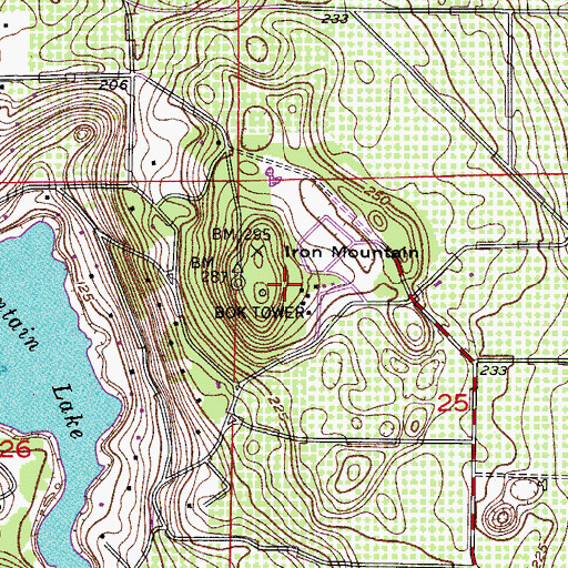 Topographic Map of Bok Tower, FL