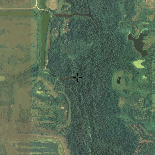 Aerial/Satellite Image of Barber Branch, FL