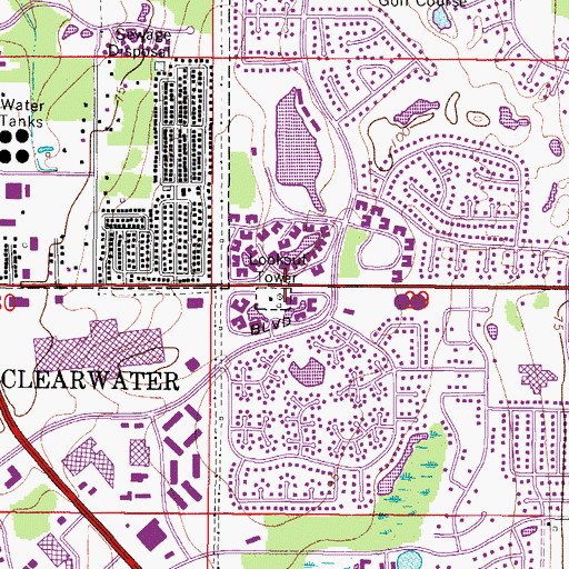 Topographic Map of Dunedin Lookout Tower, FL