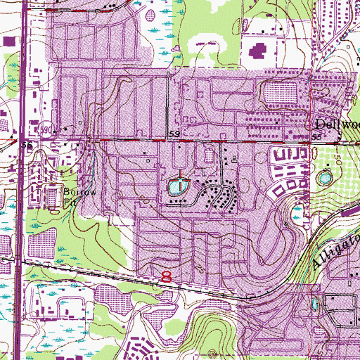 Topographic Map of Lake Patricia, FL