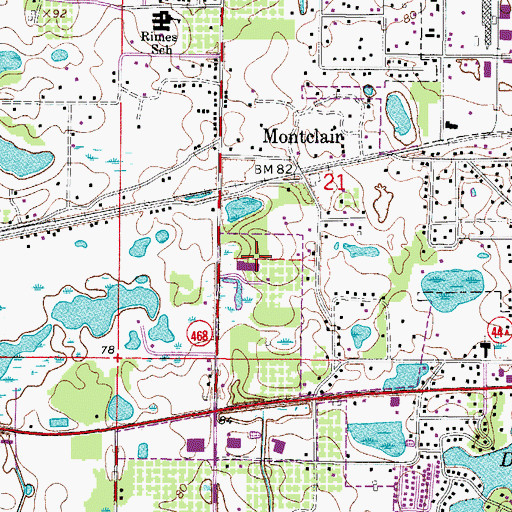 Topographic Map of Leesburg Montessori School, FL