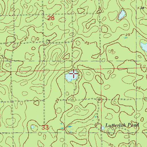Topographic Map of Live Oak Orchard Pond, FL