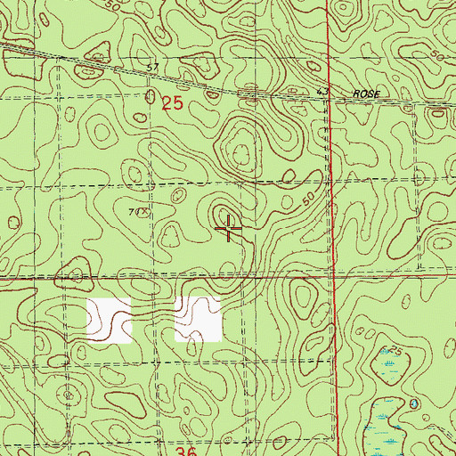 Topographic Map of Corey, FL