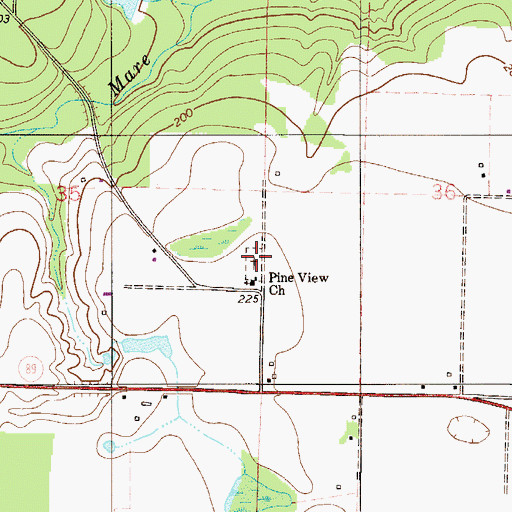 Topographic Map of Pine View Cemetery, FL