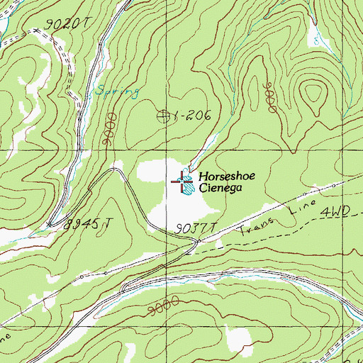 Topographic Map of Horseshoe Cienega, AZ