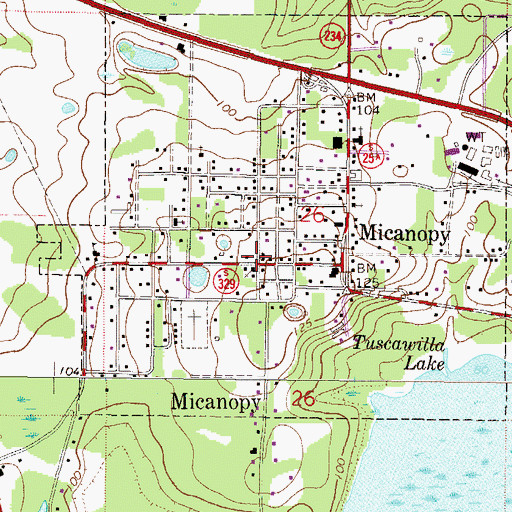 Topographic Map of Micanopy United Methodist Church, FL