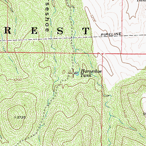 Topographic Map of Horseshoe Tank, AZ