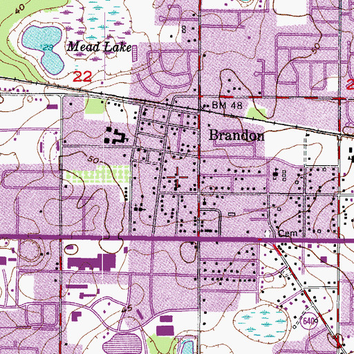 Topographic Map of Brandon Assembly of God Church, FL