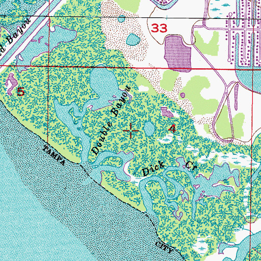 Topographic Map of Tampa Baptist Church, FL
