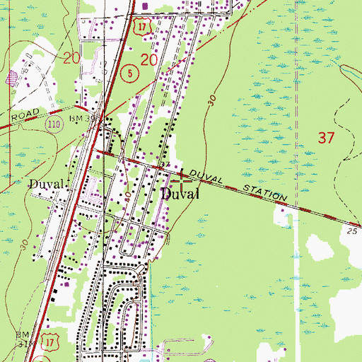 Topographic Map of Hutto Chapel, FL