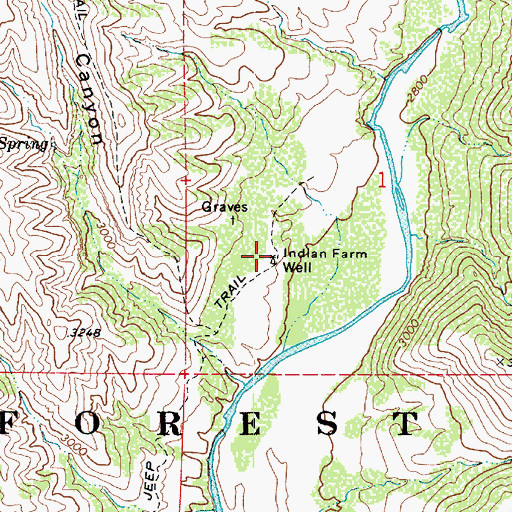 Topographic Map of Indian Farm Well, AZ