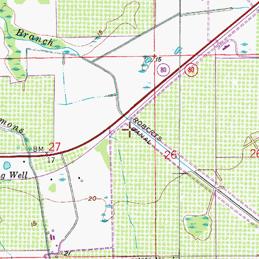Topographic Map of Banana Branch Bridge, FL