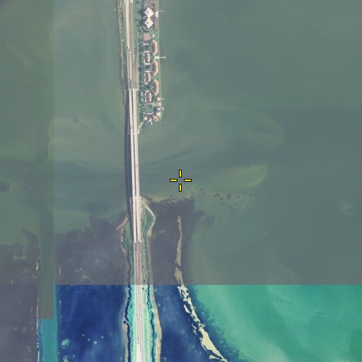 Aerial/Satellite Image of Maximo Bridge, FL