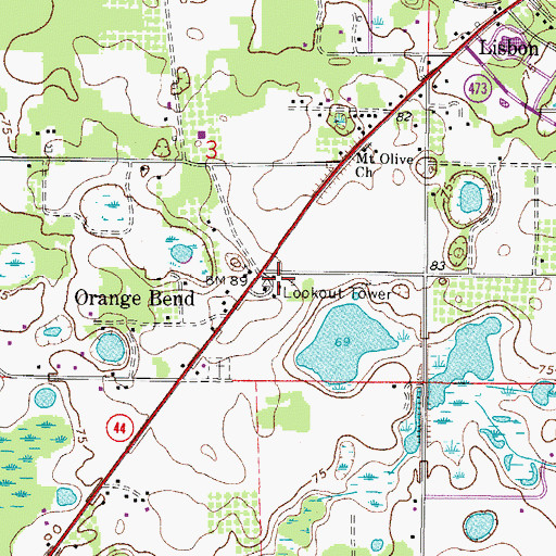 Topographic Map of Lake County Tower, FL