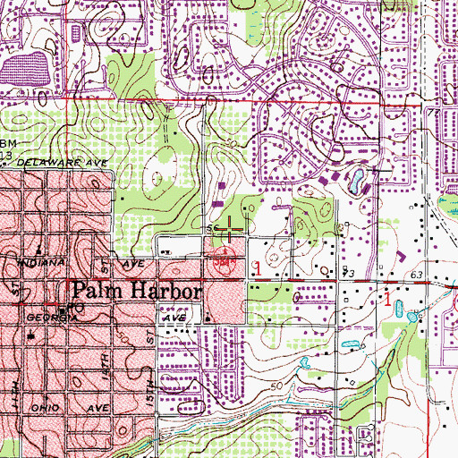 Topographic Map of Palm Harbour Montessori School, FL