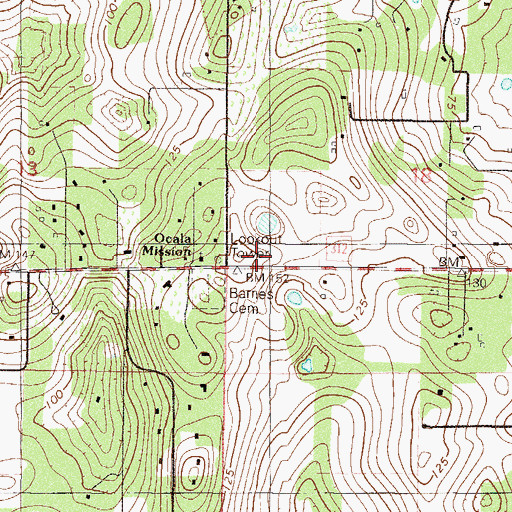 Topographic Map of Shady Tower, FL