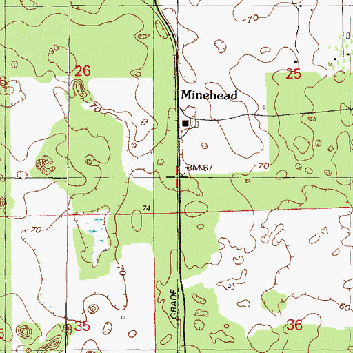 Topographic Map of Minehead Station, FL