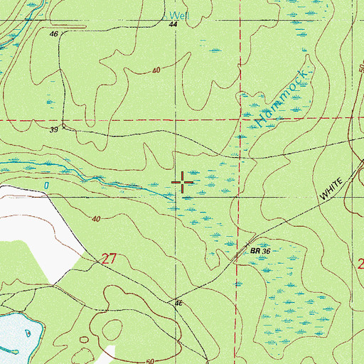 Topographic Map of Hammock Branch, FL