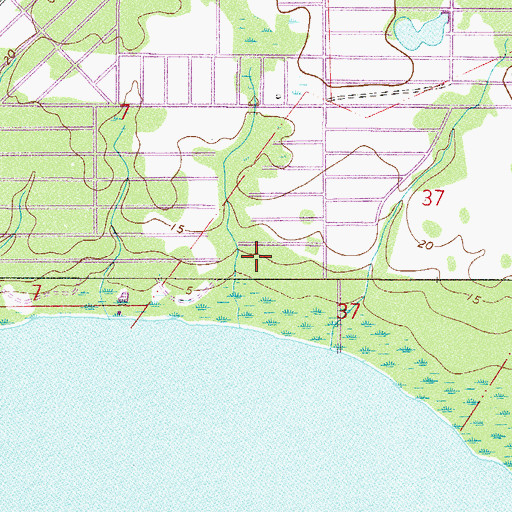 Topographic Map of Charles W Clarke Grant, FL
