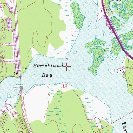 Topographic Map of O and F Palmas Grant, FL