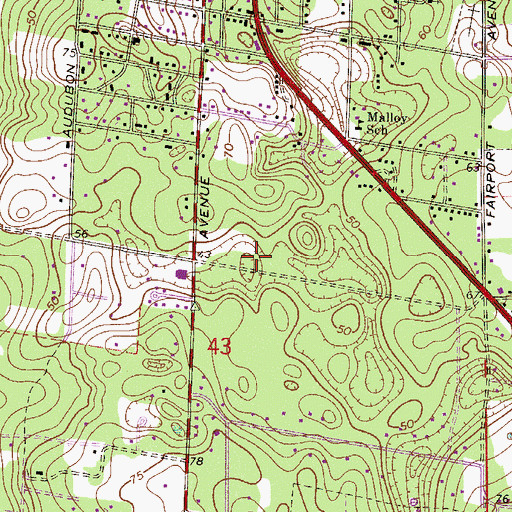 Topographic Map of Heirs of Paul Dupont Grant, FL
