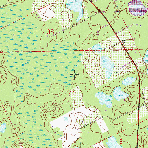 Topographic Map of F M Arredondo Grant, FL