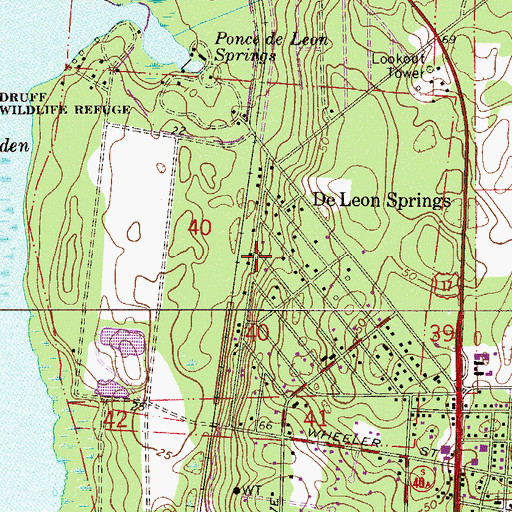 Topographic Map of Thomas Forbes Grant, FL
