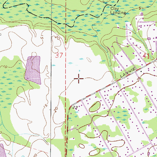 Topographic Map of William Gibson and Others Grant, FL