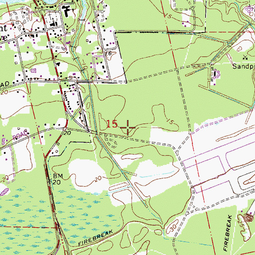 Topographic Map of Francisco Barrios Grant, FL