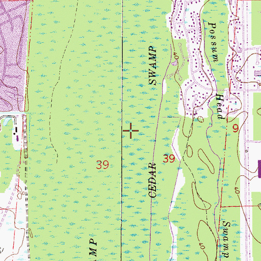 Topographic Map of Francis Richard Grant, FL