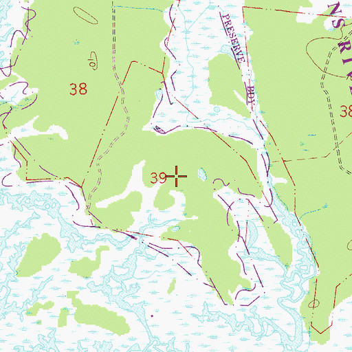 Topographic Map of William Berrie Grant, FL
