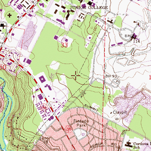 Topographic Map of V S Pintado Grant, FL