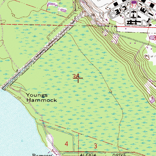 Topographic Map of Alexander Love Grant, FL