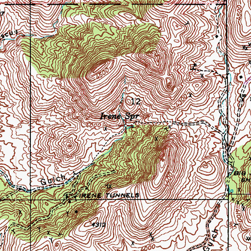 Topographic Map of Irene Spring, AZ