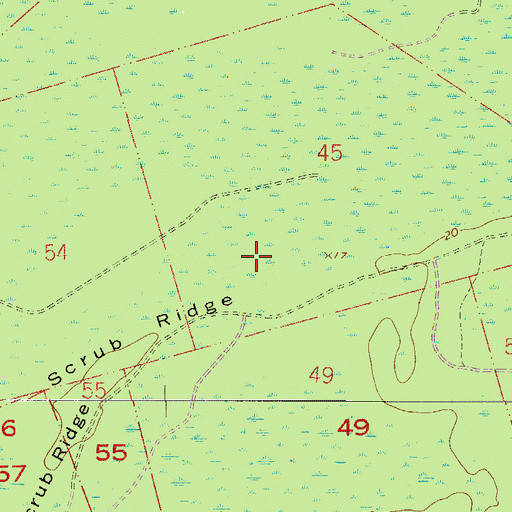 Topographic Map of Pedro Cocifacio Grant, FL