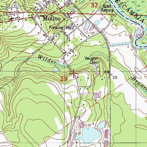 Topographic Map of Antoine Collins Grant, FL