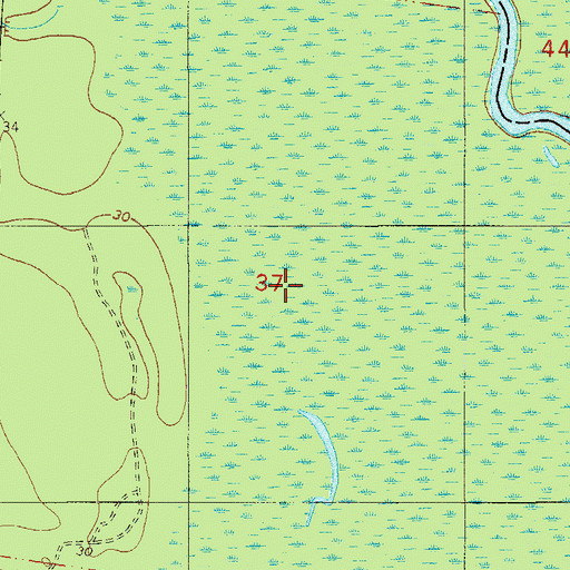 Topographic Map of Celestino Gonzalez Grant, FL