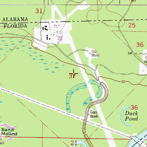 Topographic Map of Littleburg Mason Grant, FL