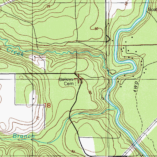 Topographic Map of Baileys Cemetery, FL