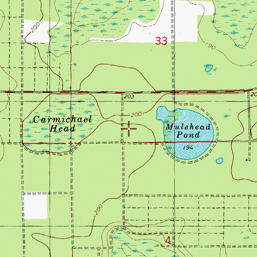Topographic Map of Mirrow Lake, FL